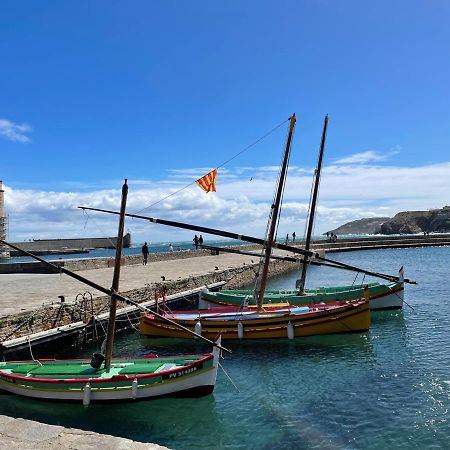 Charmant T2 Duplex Climatise Avec Terrasse, A Deux Pas De La Plage Du Port D'Avall, Collioure - Fr-1-309-233 아파트 외부 사진